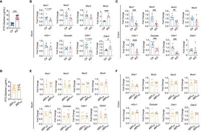 Gut microbiota from B-cell-specific TLR9-deficient NOD mice promote IL-10+ Breg cells and protect against T1D